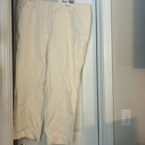 ann taylor work pants